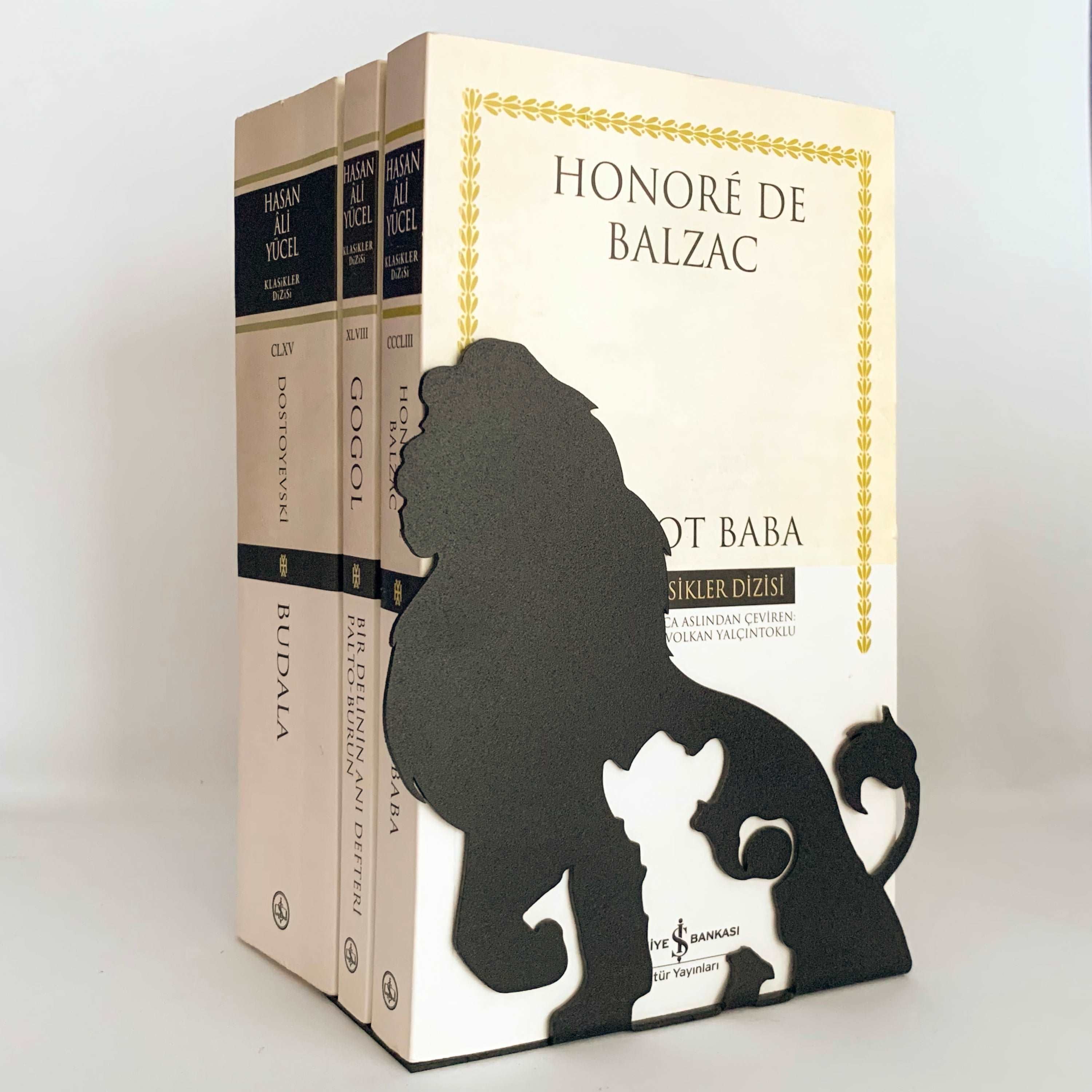 Aslan Kral Kitap Desteği