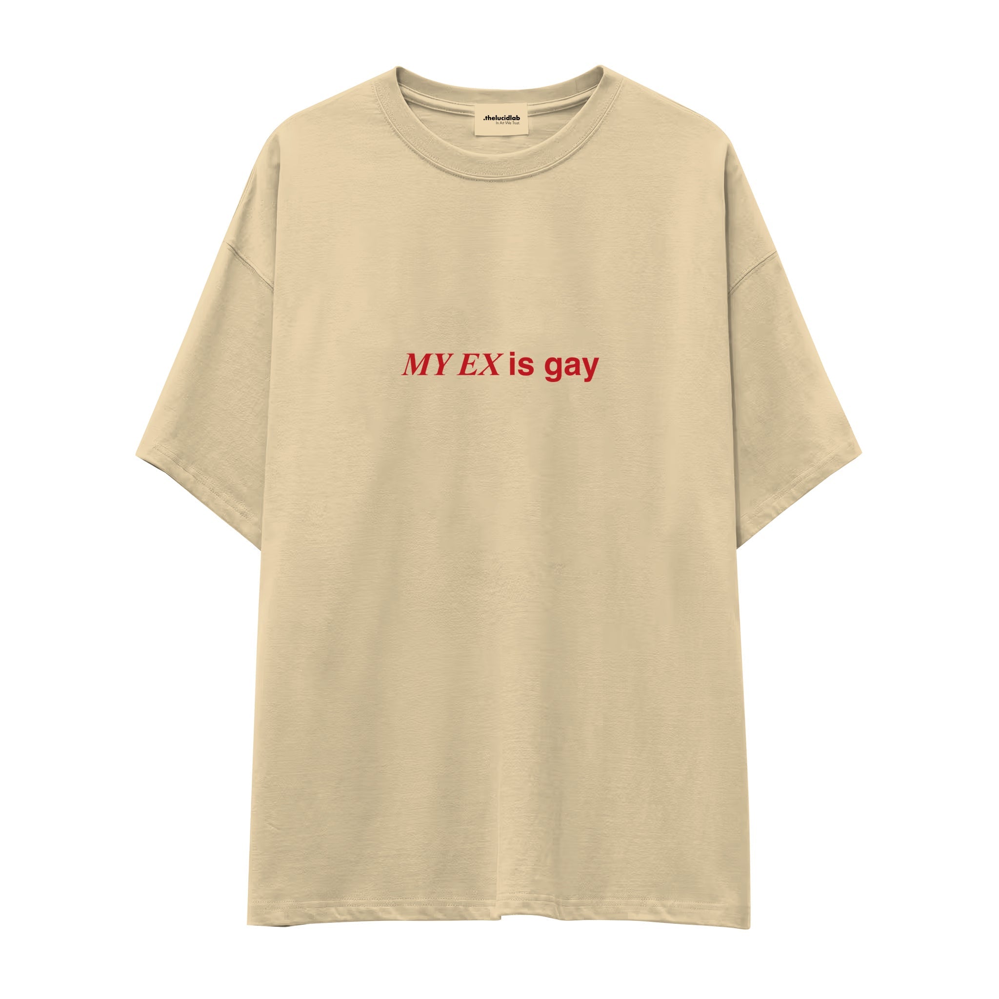 My Ex Is Gay Oversize Tişört