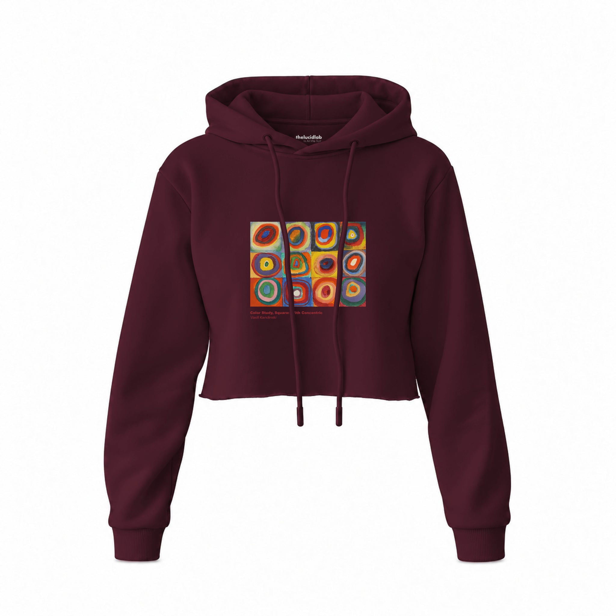 Color Study, Squares With Concentric Circles Crop Hoodie — Bordo — Görsel 1