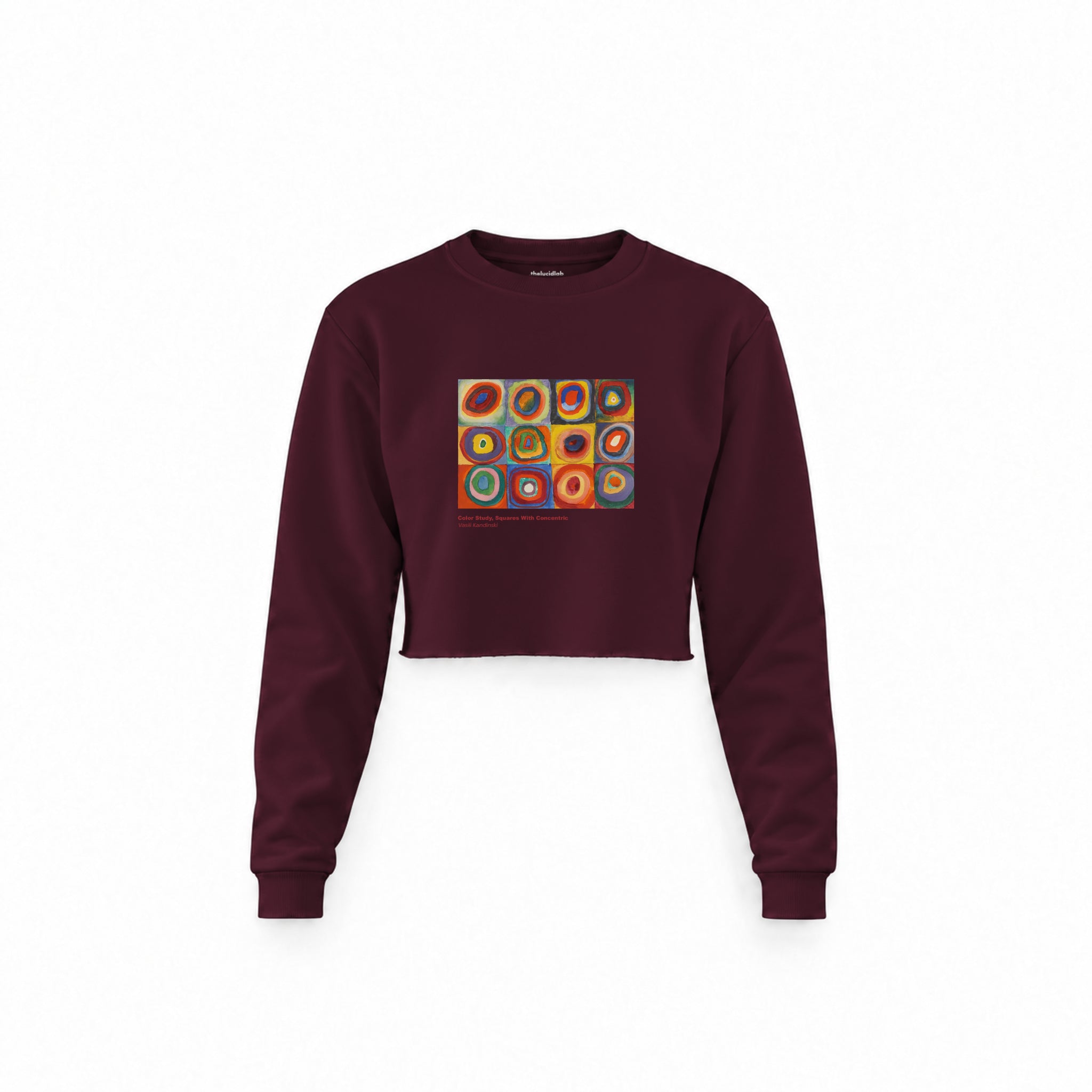 Color Study, Squares With Concentric Circles Crop Sweatshirt — Bordo — Görsel 1
