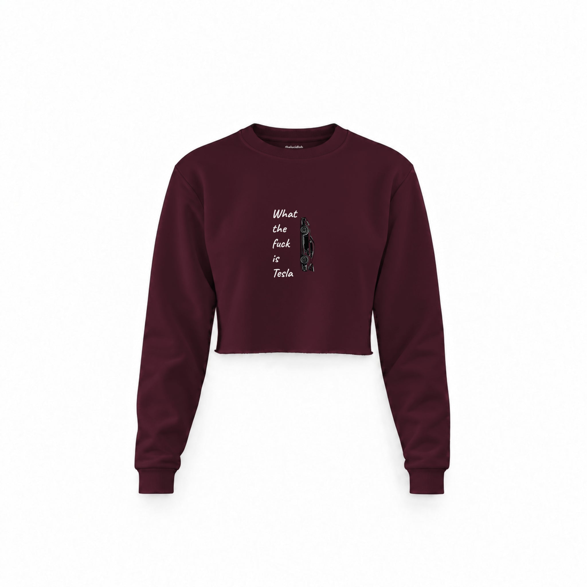 What The Fuck Is Tesla Crop Sweatshirt — Bordo — Görsel 1