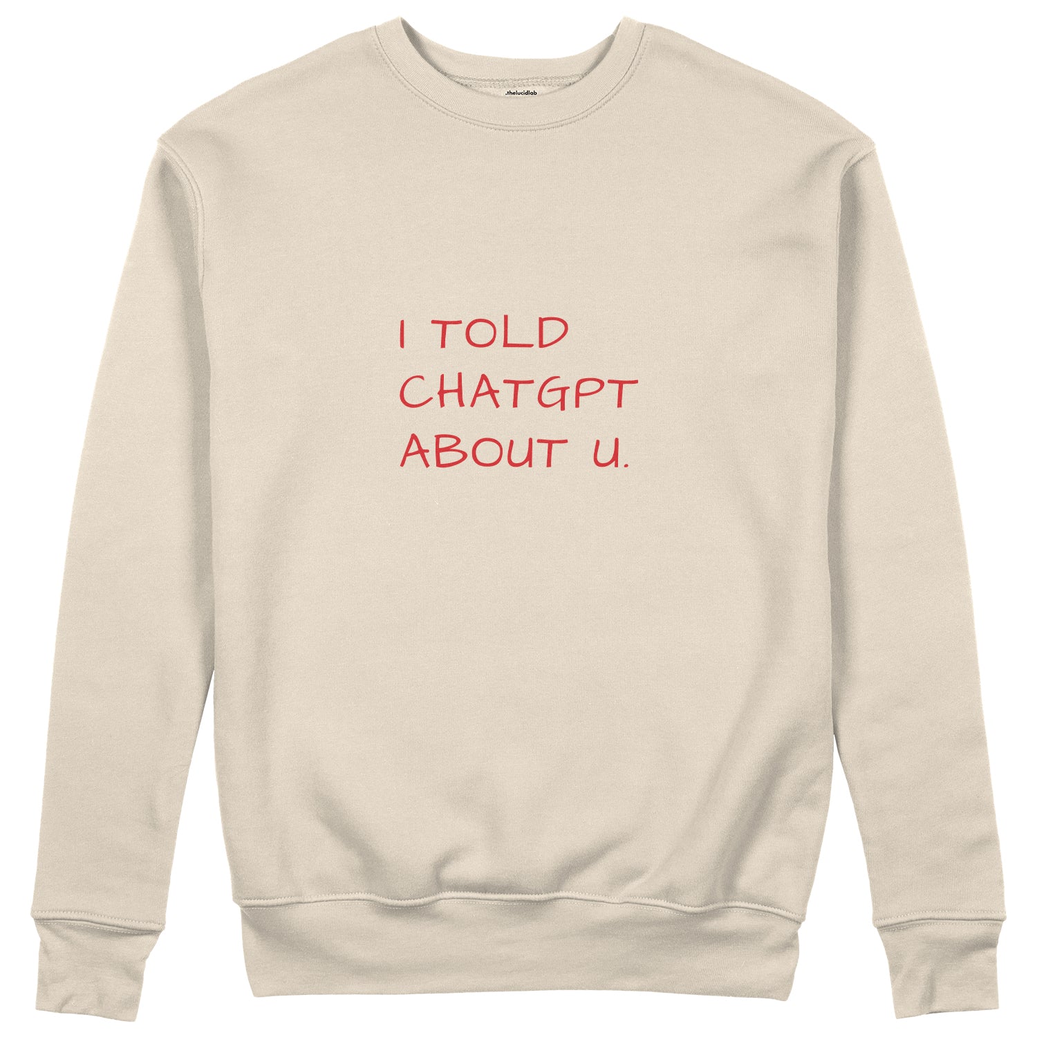 I Told ChatGPT About U Sweatshirt