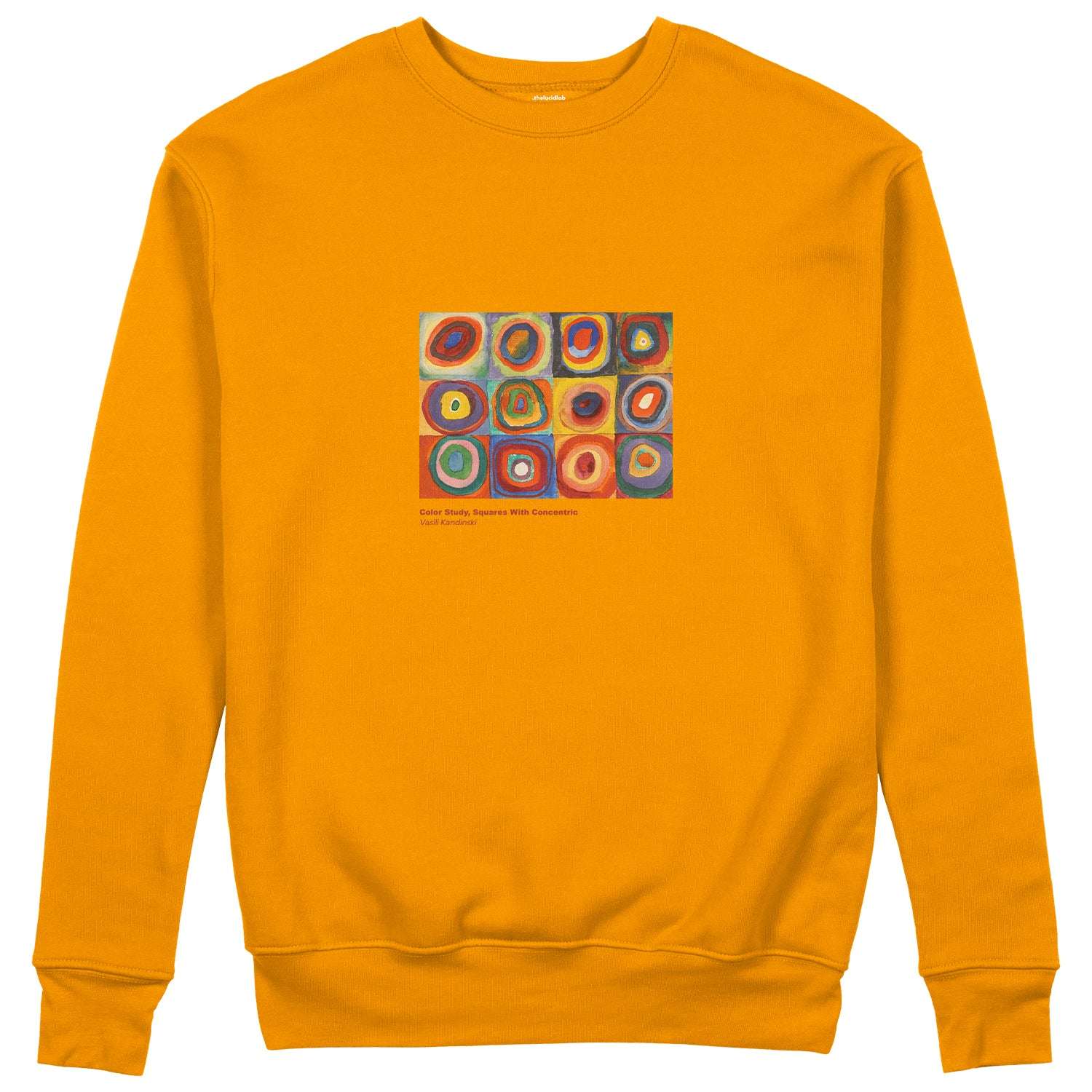 Color Study, Squares With Concentric Circles Sweatshirt