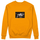 Led Zeppelin Pontiac Silverdome 1977 Sweatshirt