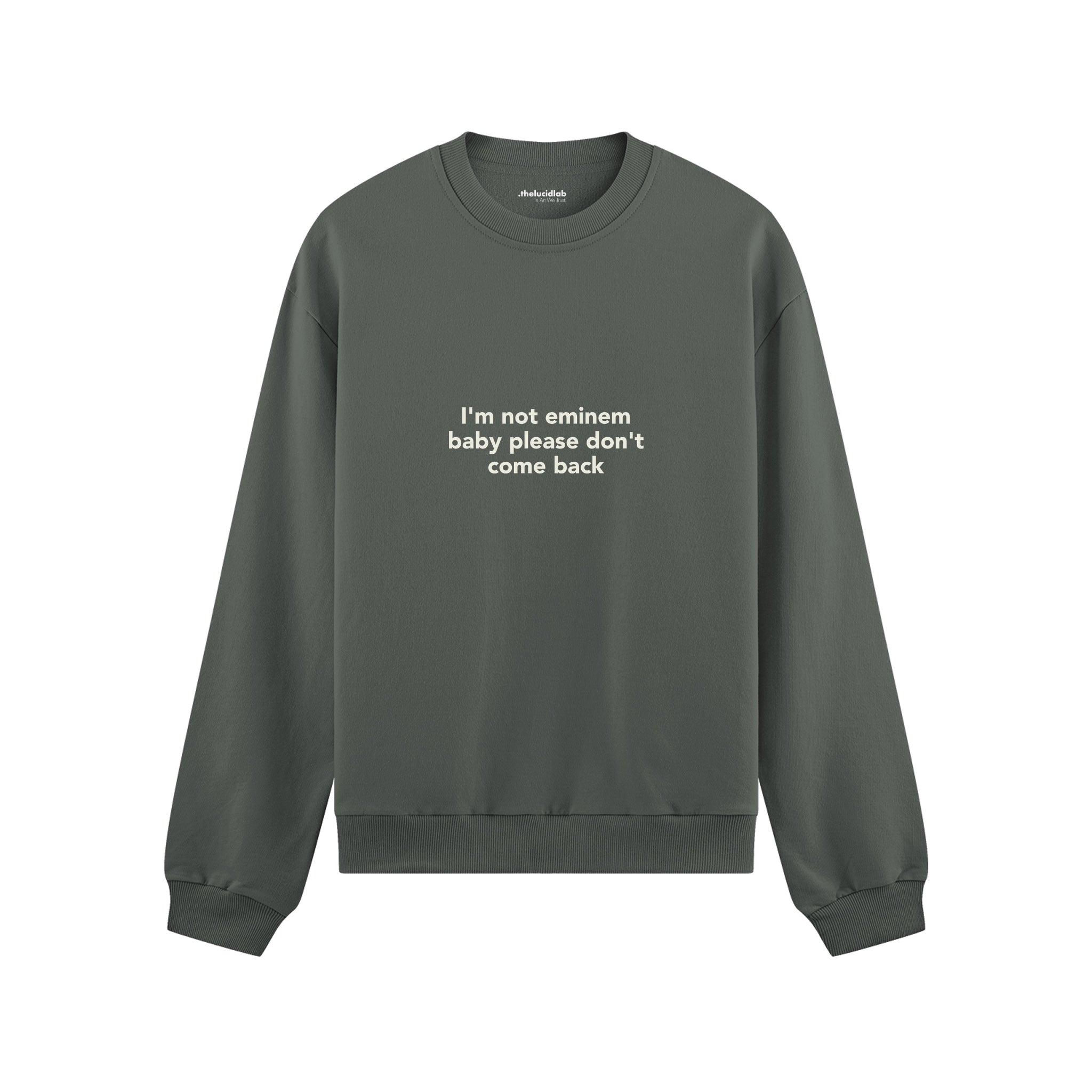 I'm Not Eminem Oversize Sweatshirt Antrasit Ön