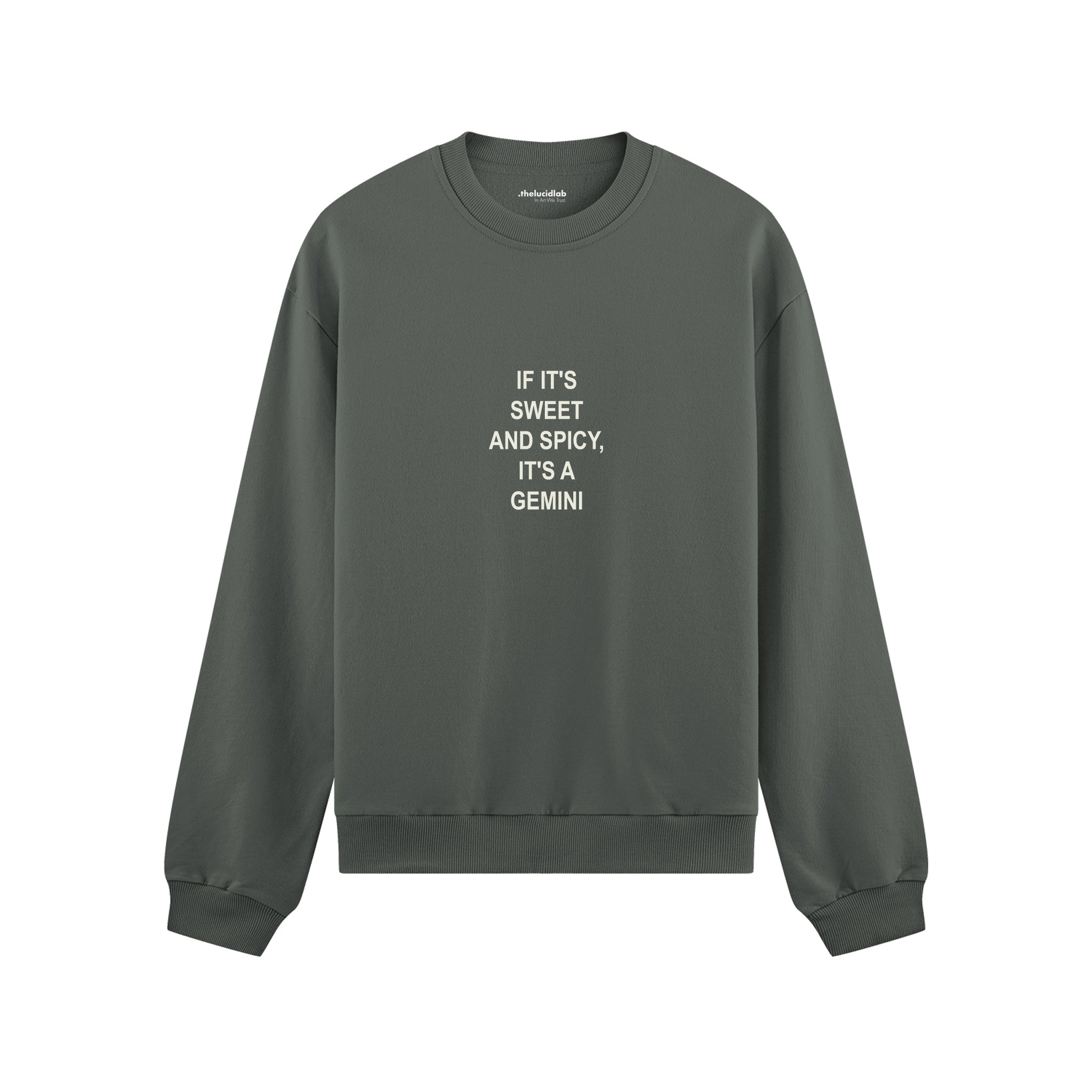 It's a Gemini Oversize Sweatshirt Antrasit Ön