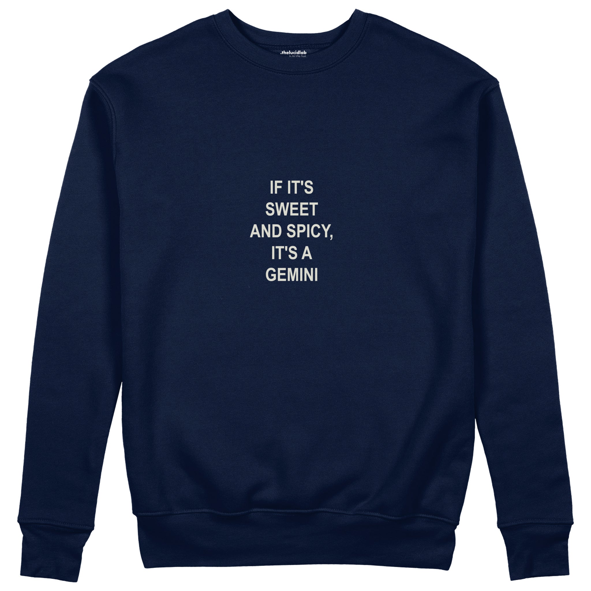 It's a Gemini Sweatshirt Lacivert Ön