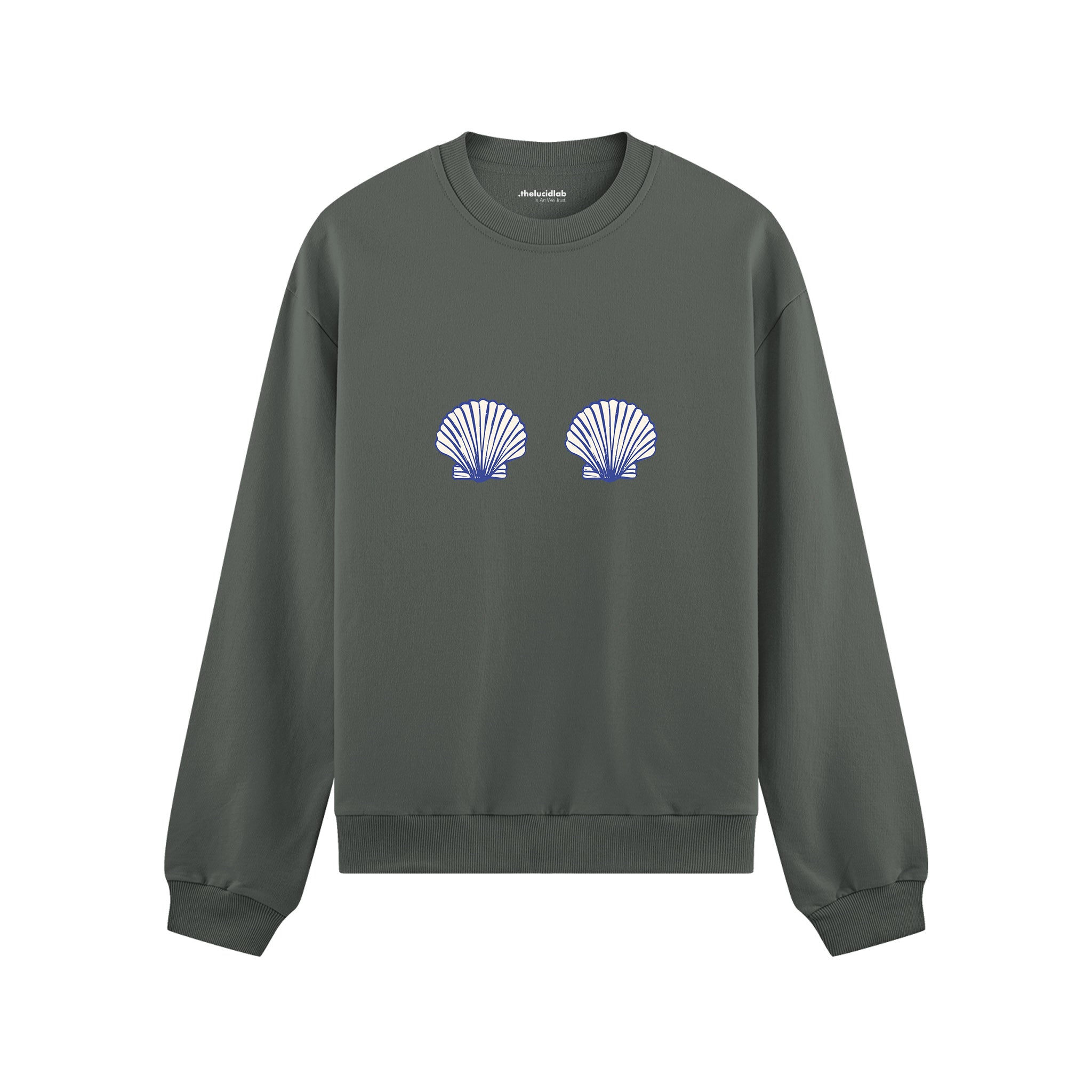 Nice Shells Oversize Sweatshirt Antrasit Ön