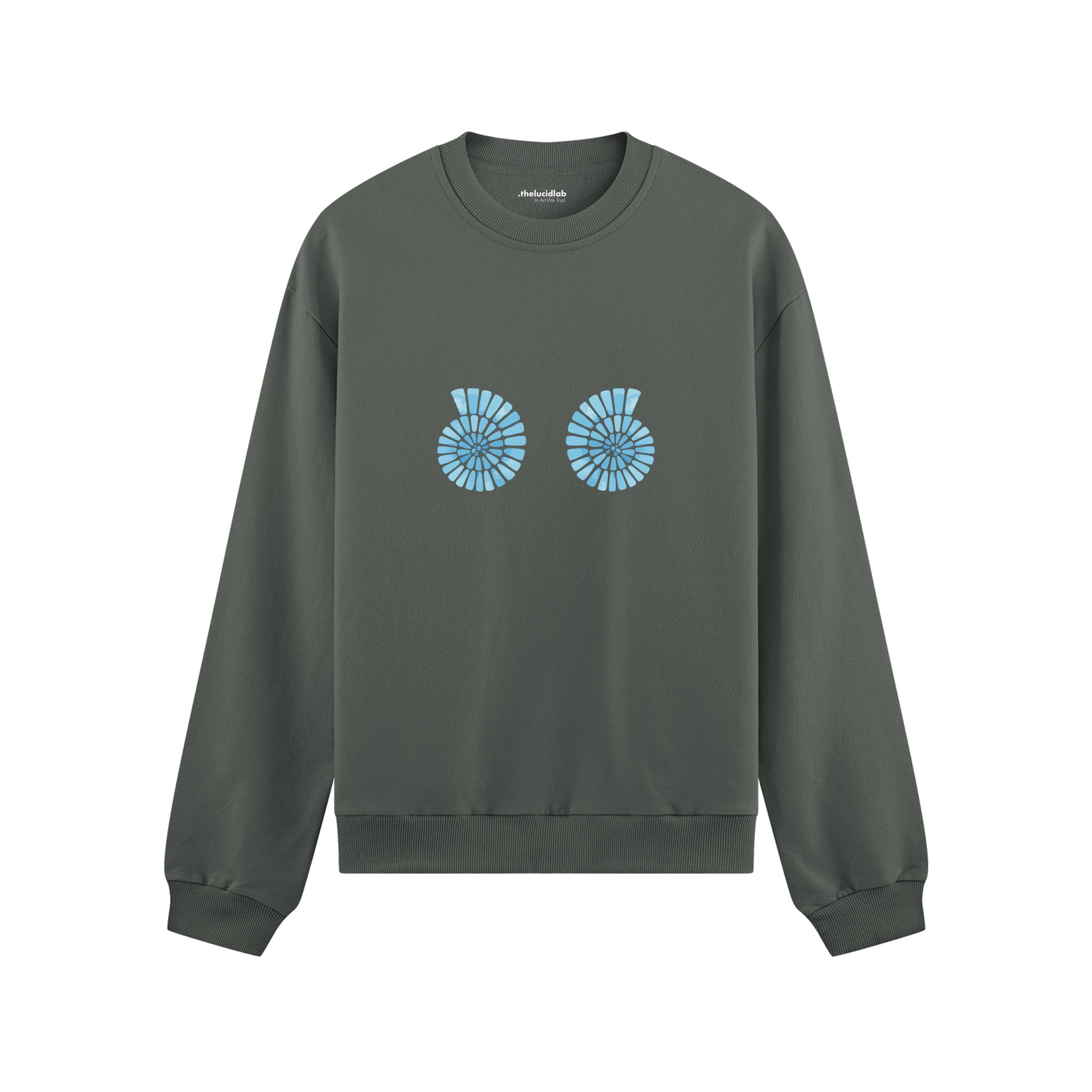 Shell Yeah Oversize Sweatshirt Antrasit Ön