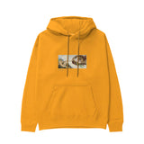 The Creation Hoodie