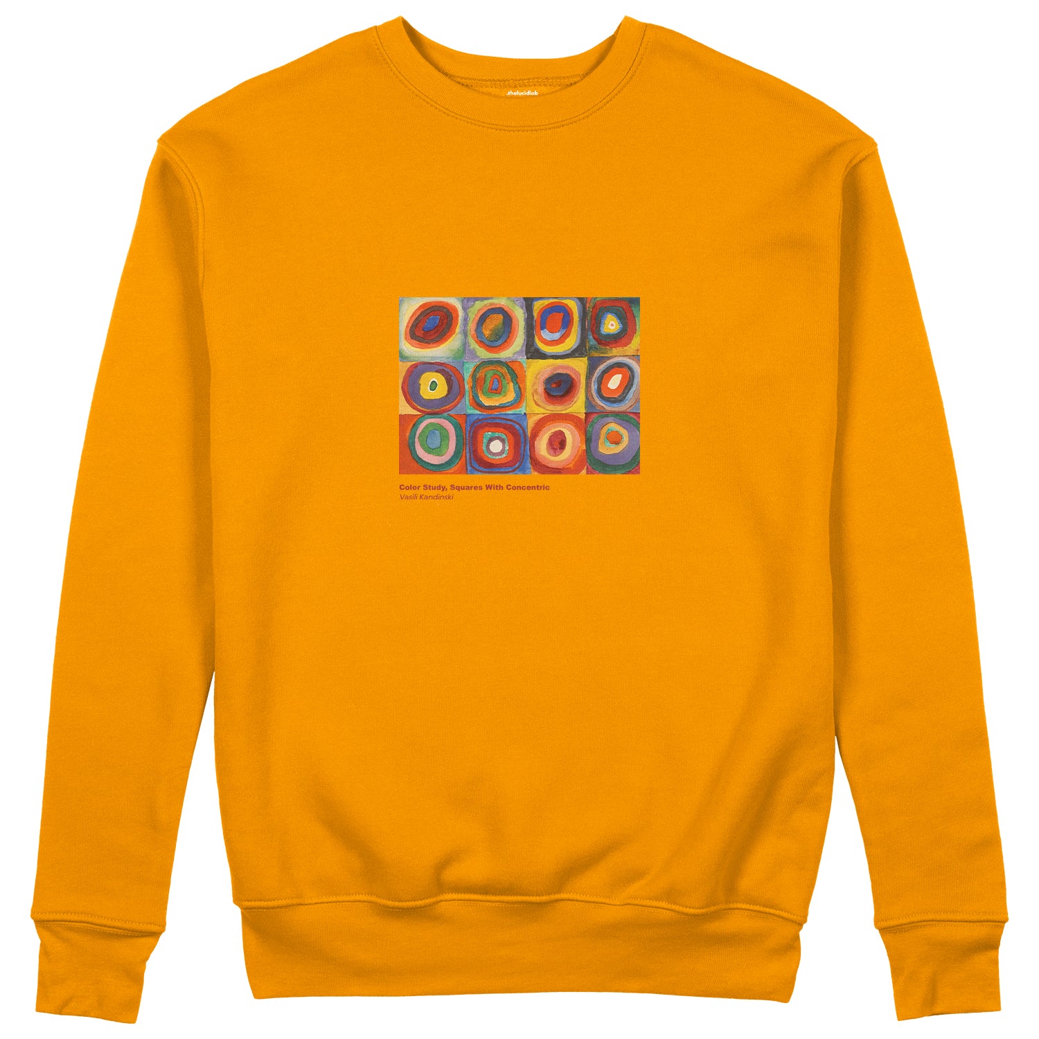 Color Study, Squares With Concentric Circles Sweatshirt