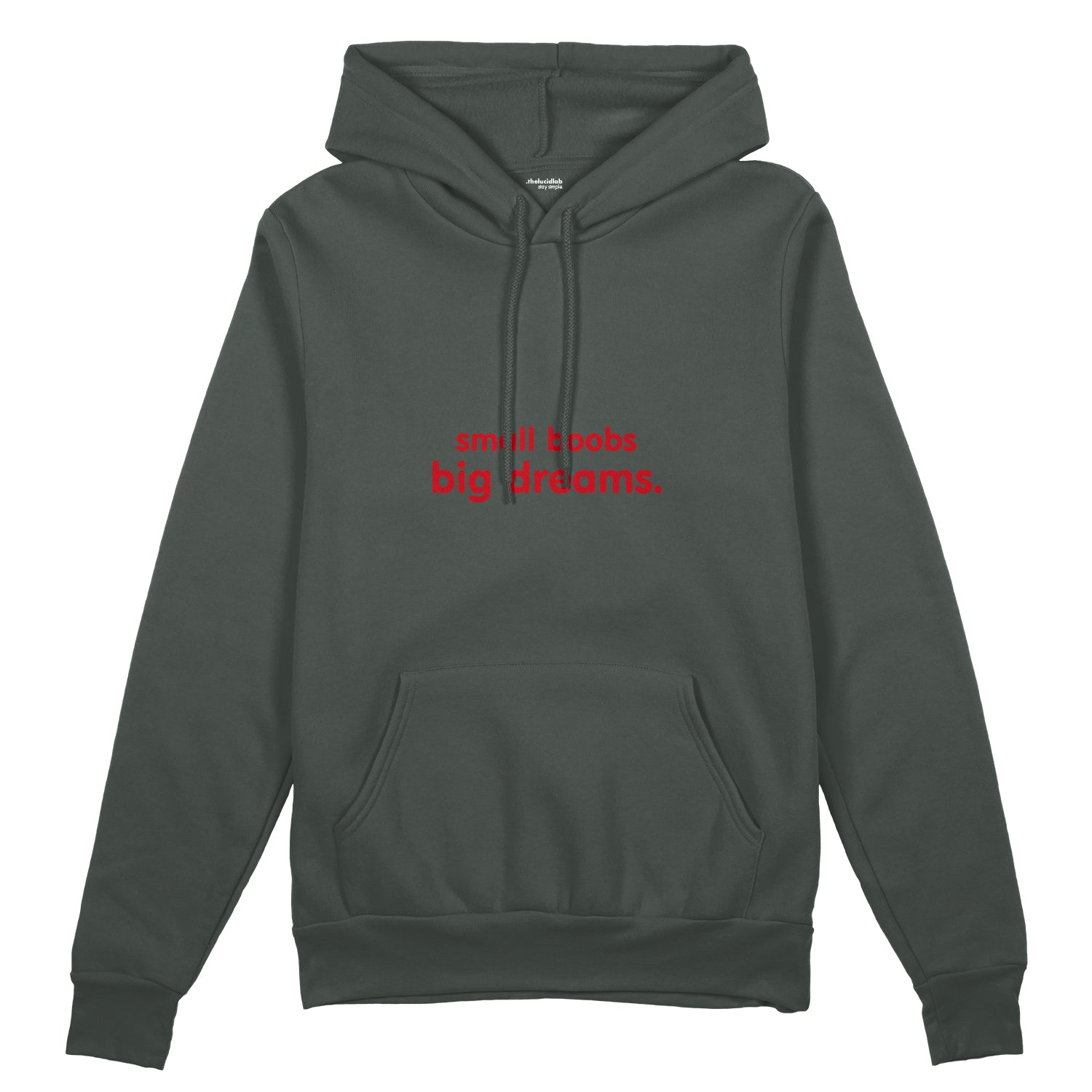 Small Boobs Big Dreams Oversize Hoodie