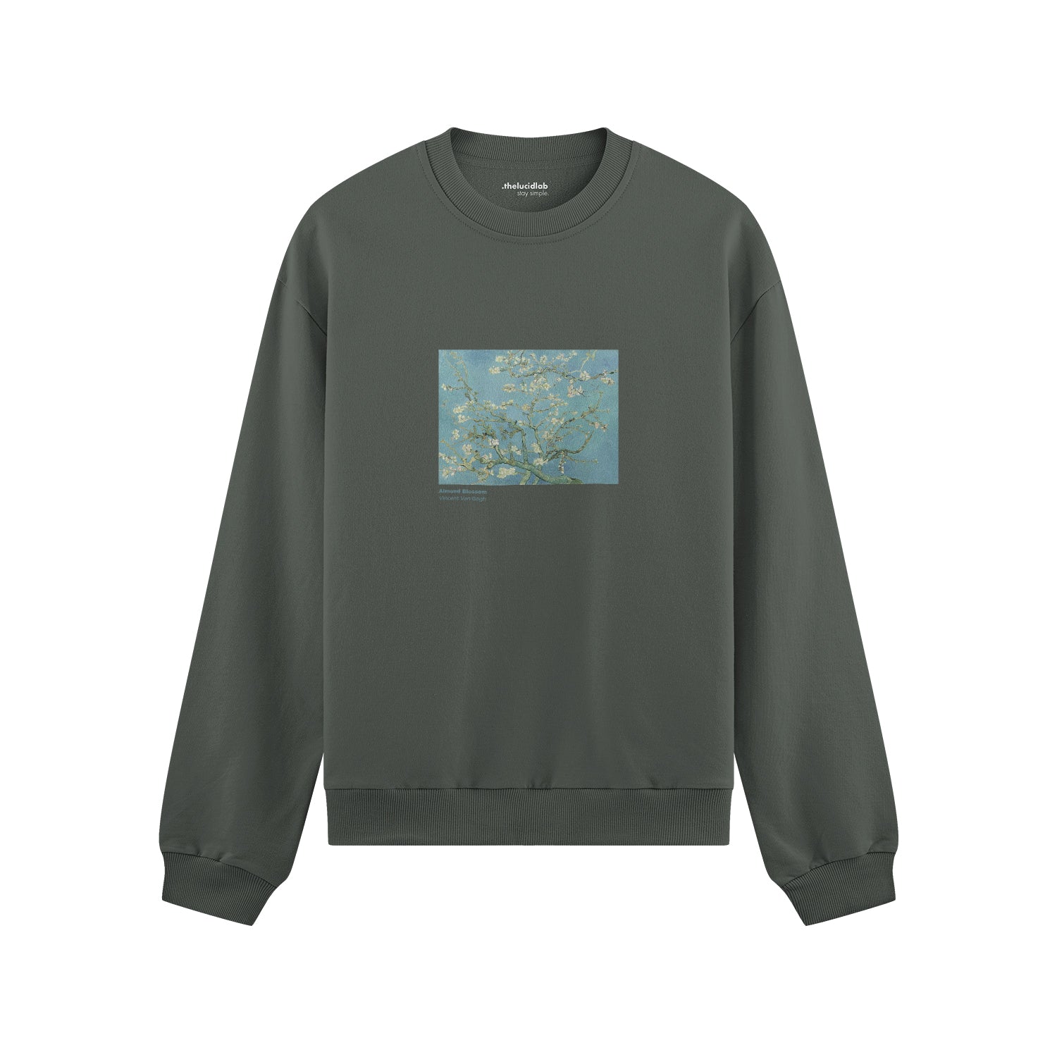 Almond Blossoms Oversize Sweatshirt