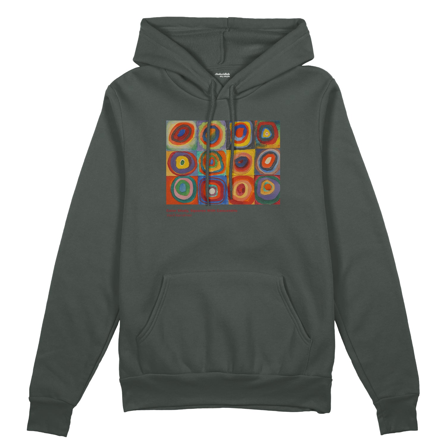 Color Study, Squares With Concentric Circles Oversize Hoodie