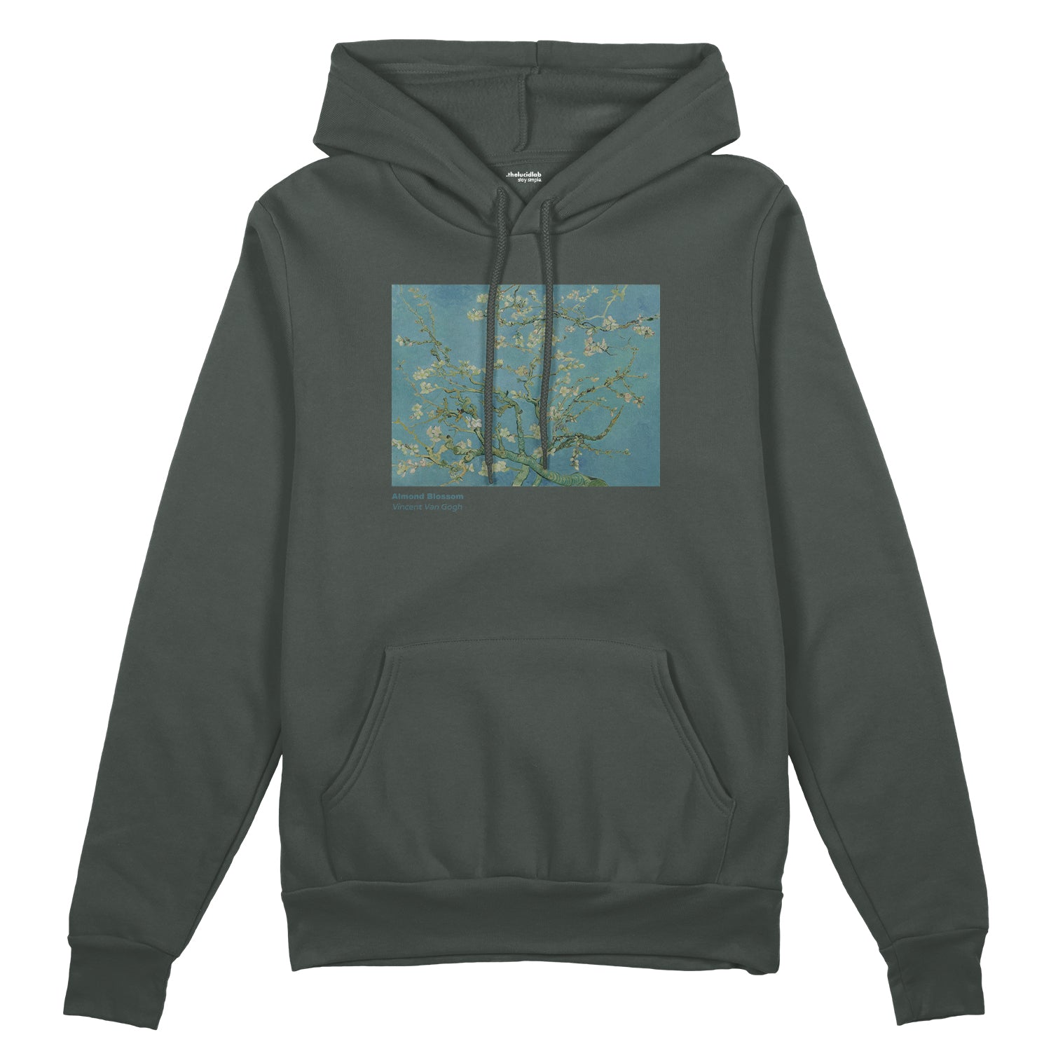 Almond Blossoms Oversize Hoodie