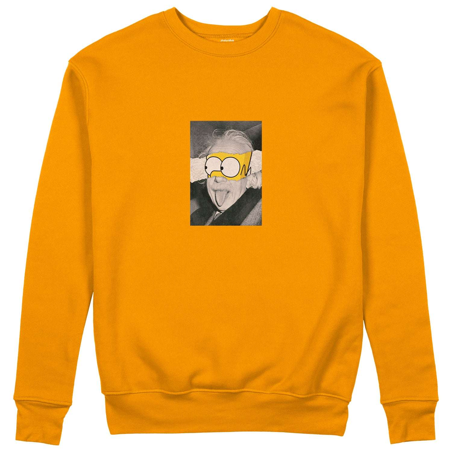 Albert Einstein / Homer Simpson Sweatshirt