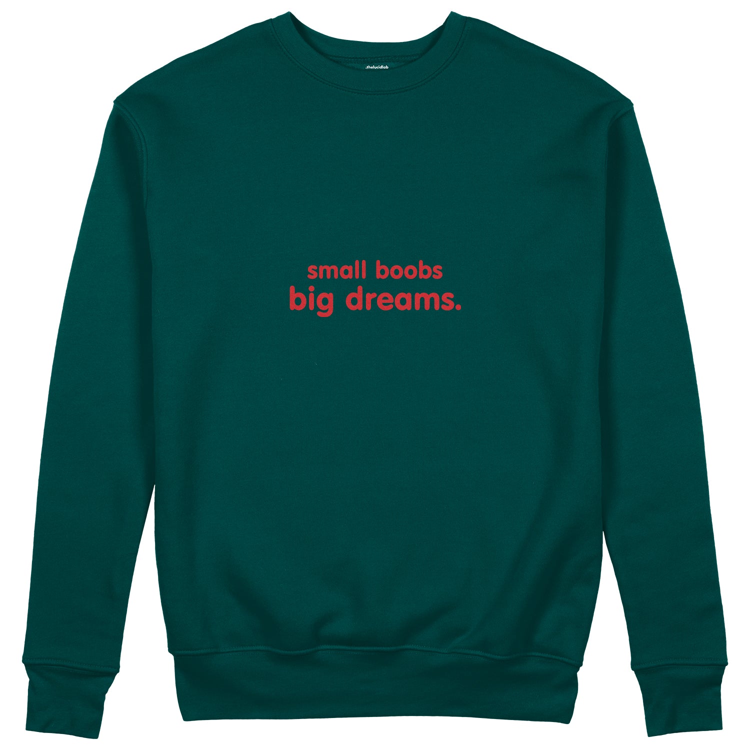 Small Boobs Big Dreams Sweatshirt