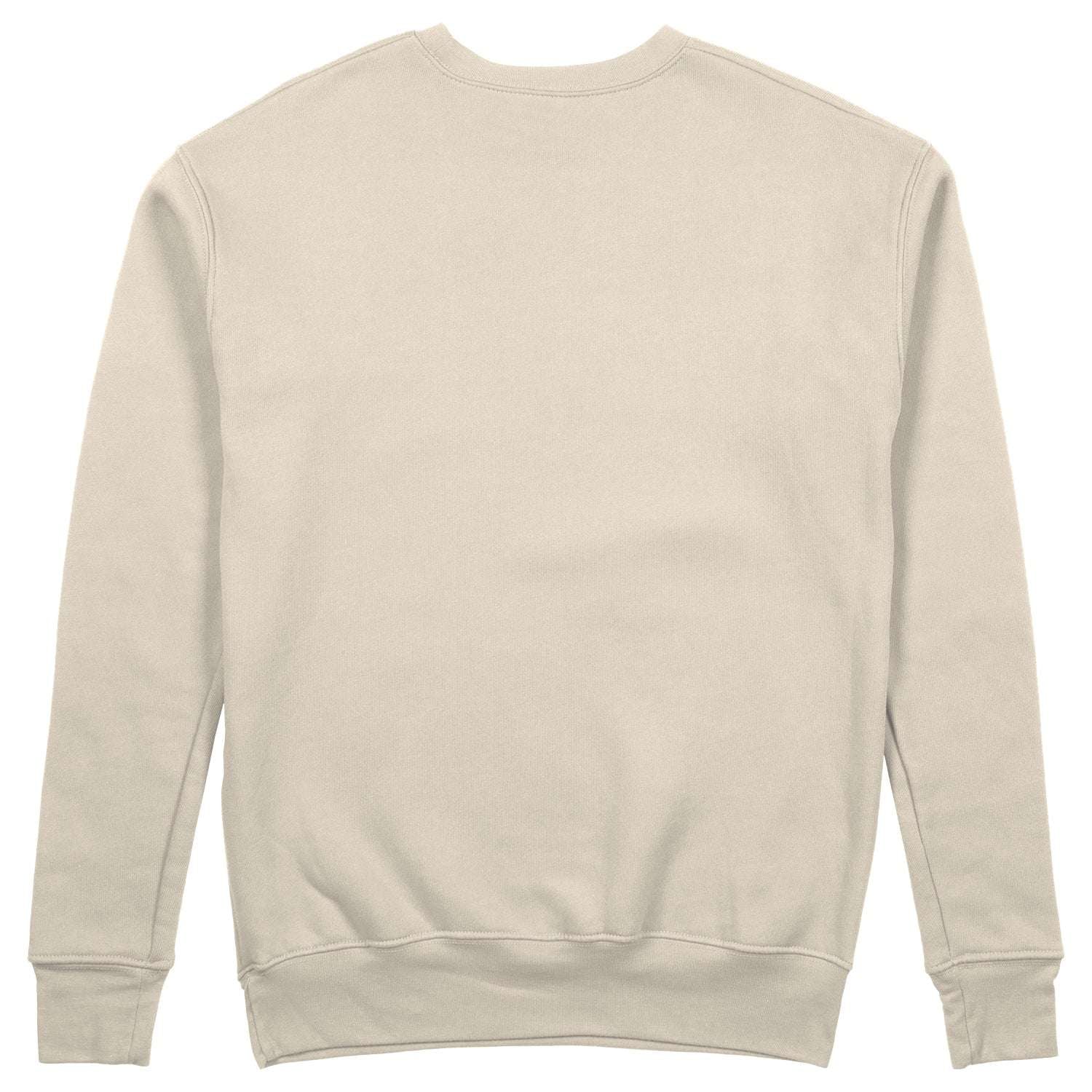Basic Regular Fit Sweatshirt