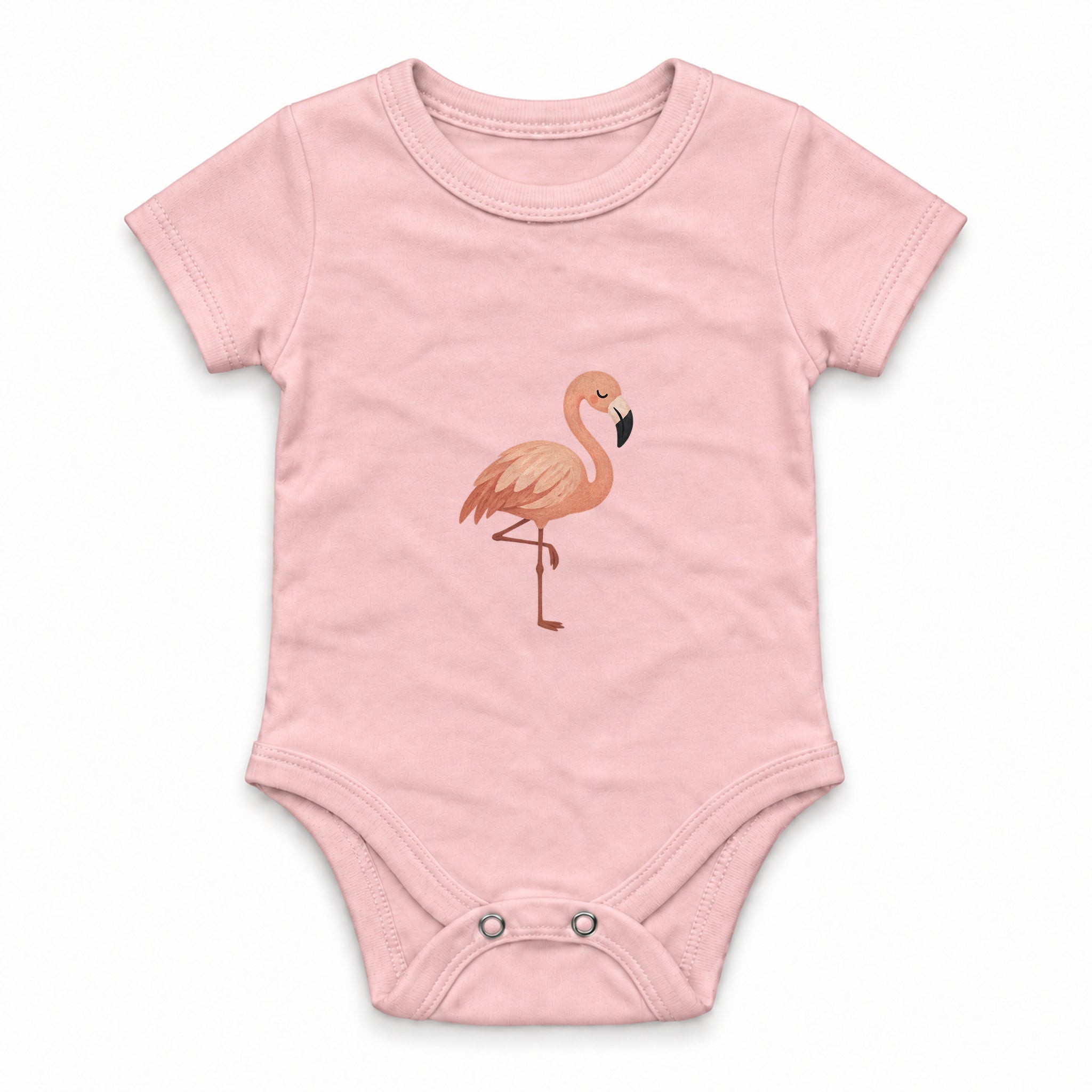 Flamingo balancing on one leg Zıbın — Pembe — ön görünüm