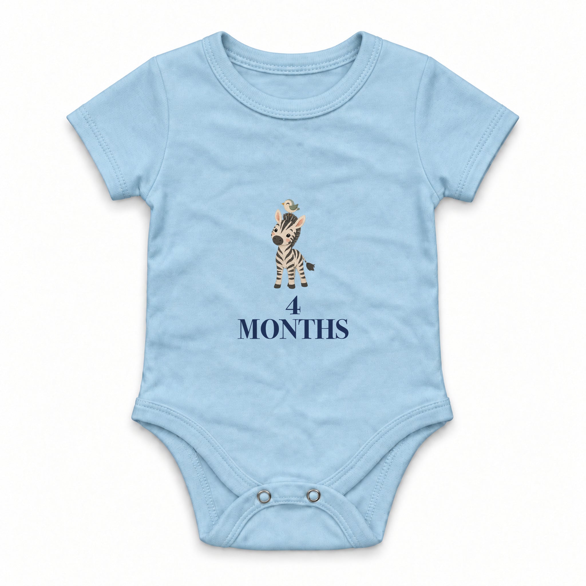 Animal Months · 4 Zıbın — Mavi — ön görünüm