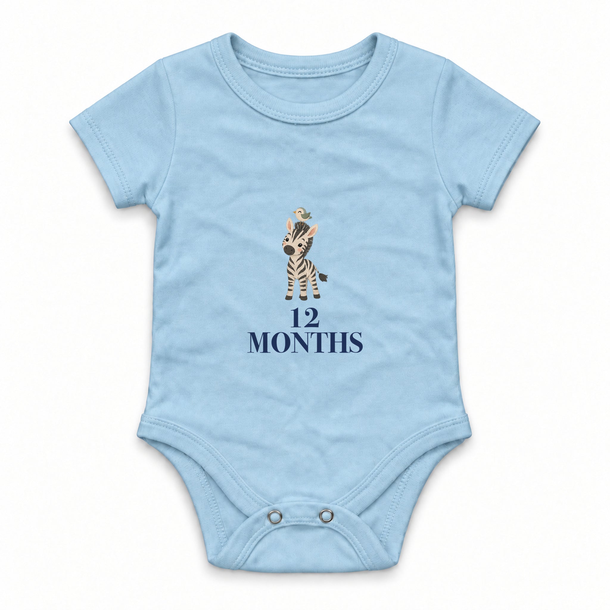 Animal Months · 12 Zıbın — Mavi — ön görünüm