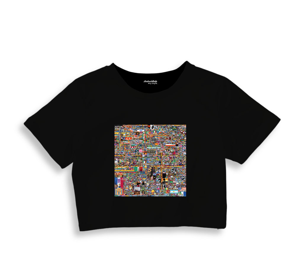 Reddit Place Crop Tişört