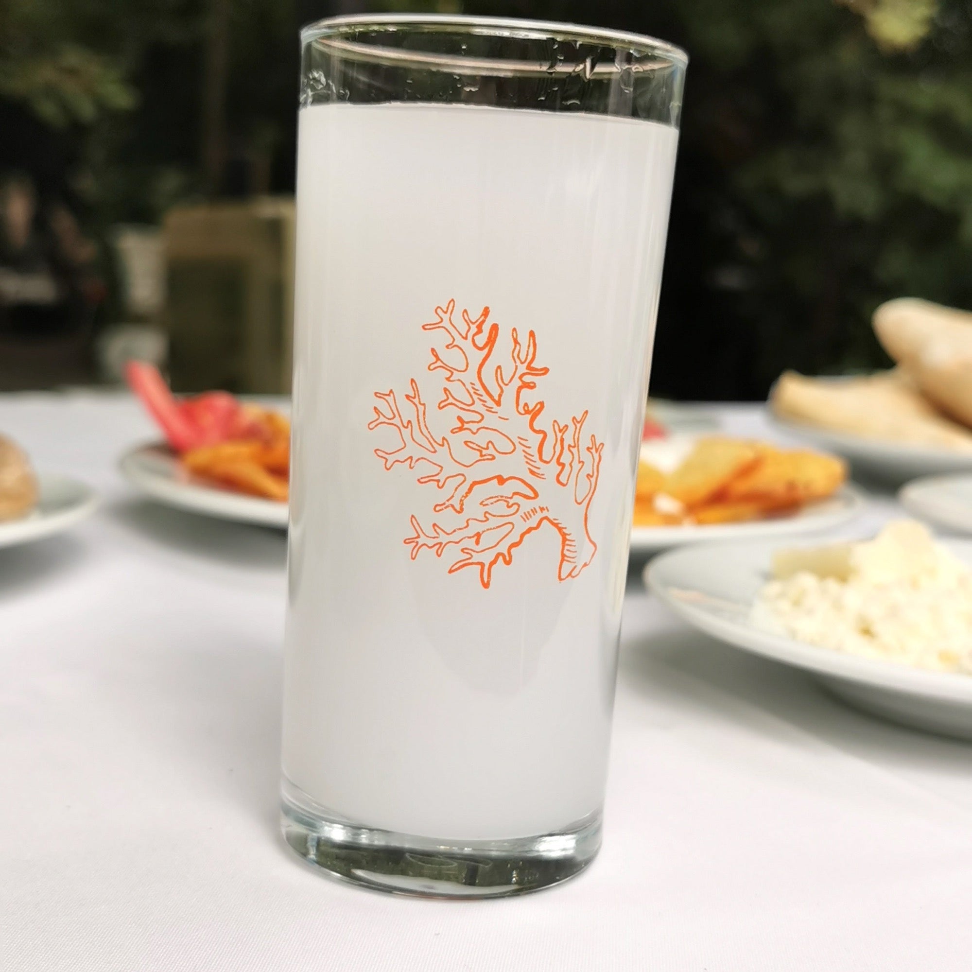 Orange Coral / Turuncu Mercan Baskılı Paşabahçe Rakı Kadehi – thelucidlab