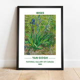 Irises - Irises Poster