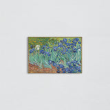 Irises Canvas Painting
