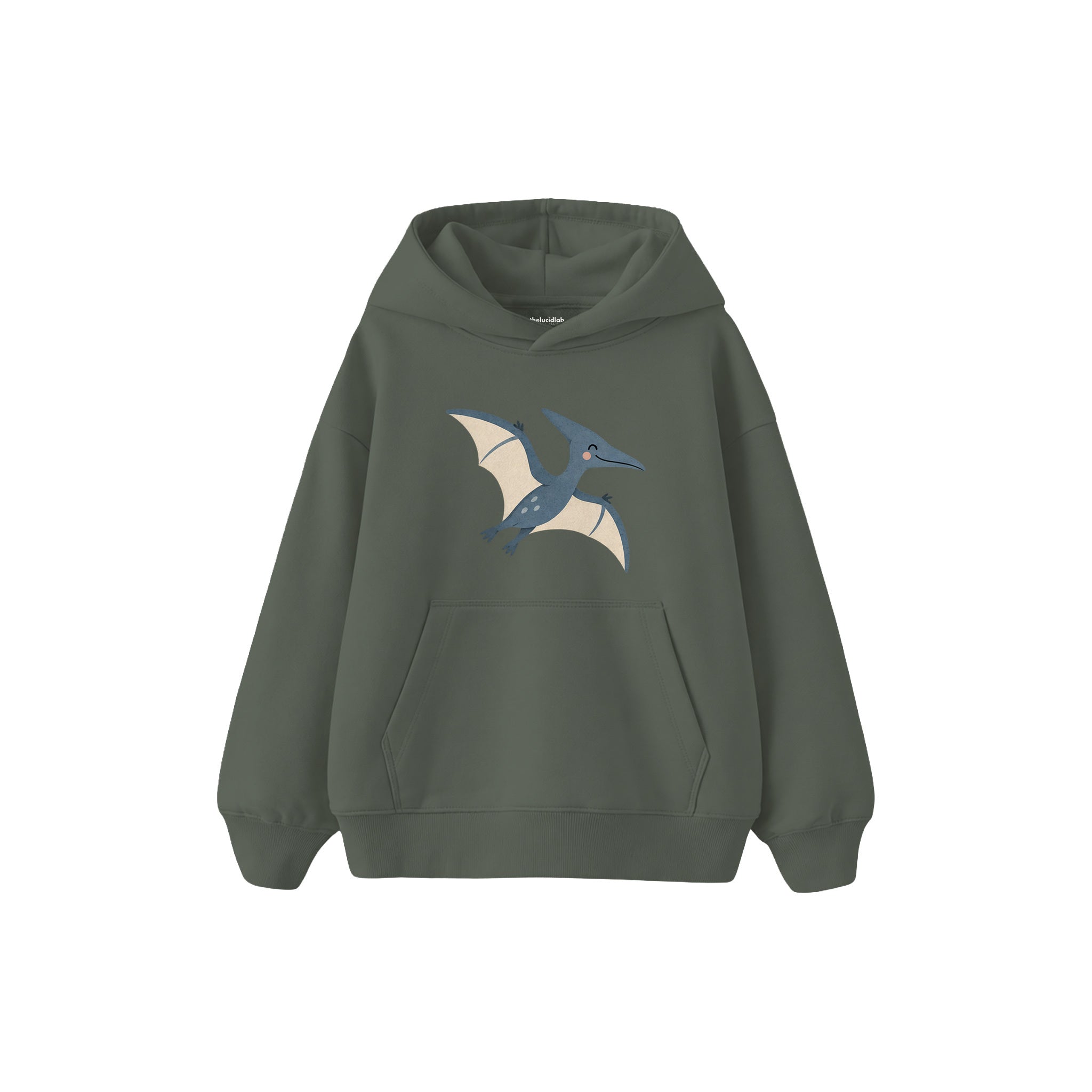 Blue pterodactyl gliding gently Çocuk Hoodie — Antrasit — ön görünüm