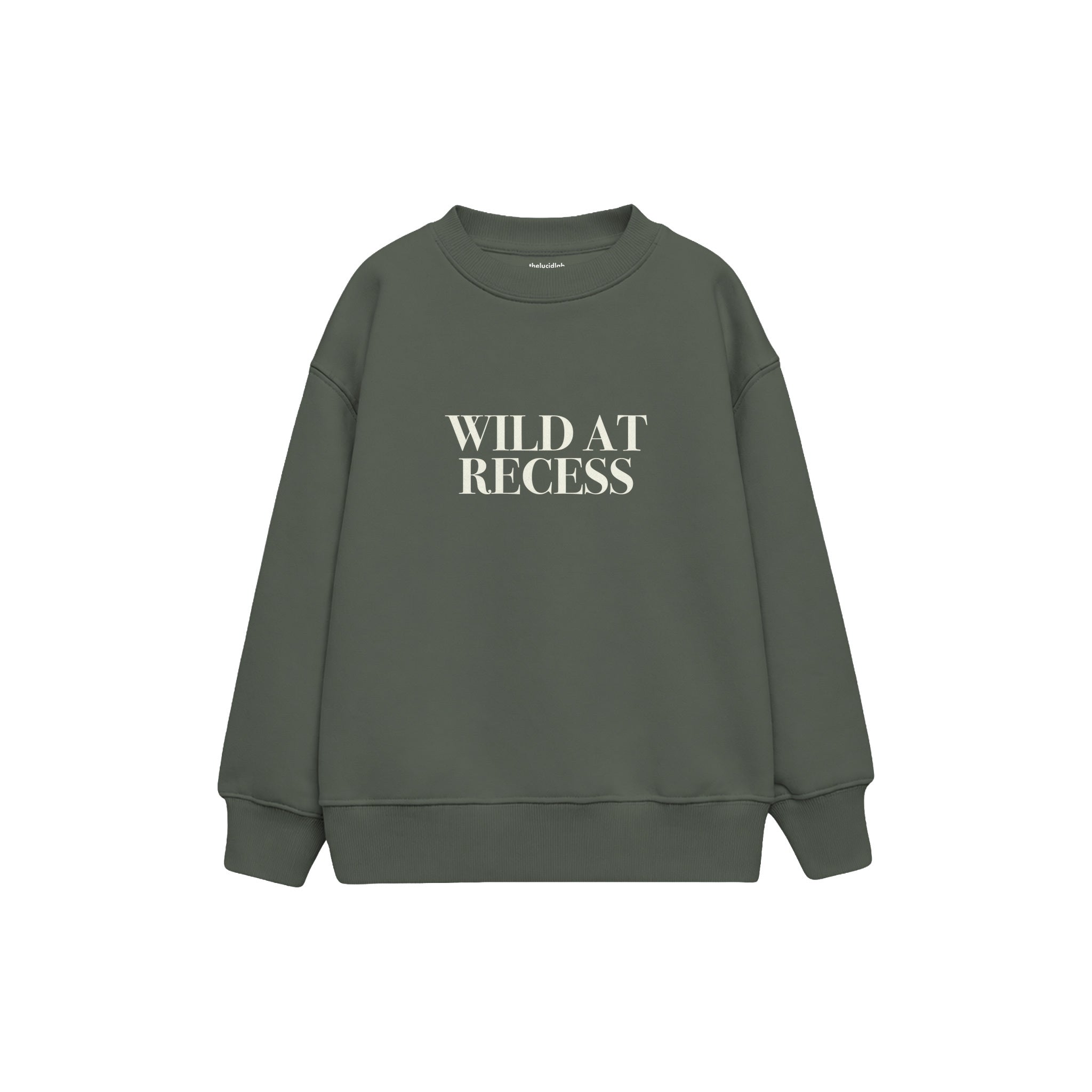 Wild At Recess Çocuk Sweatshirt — Antrasit — ön görünüm