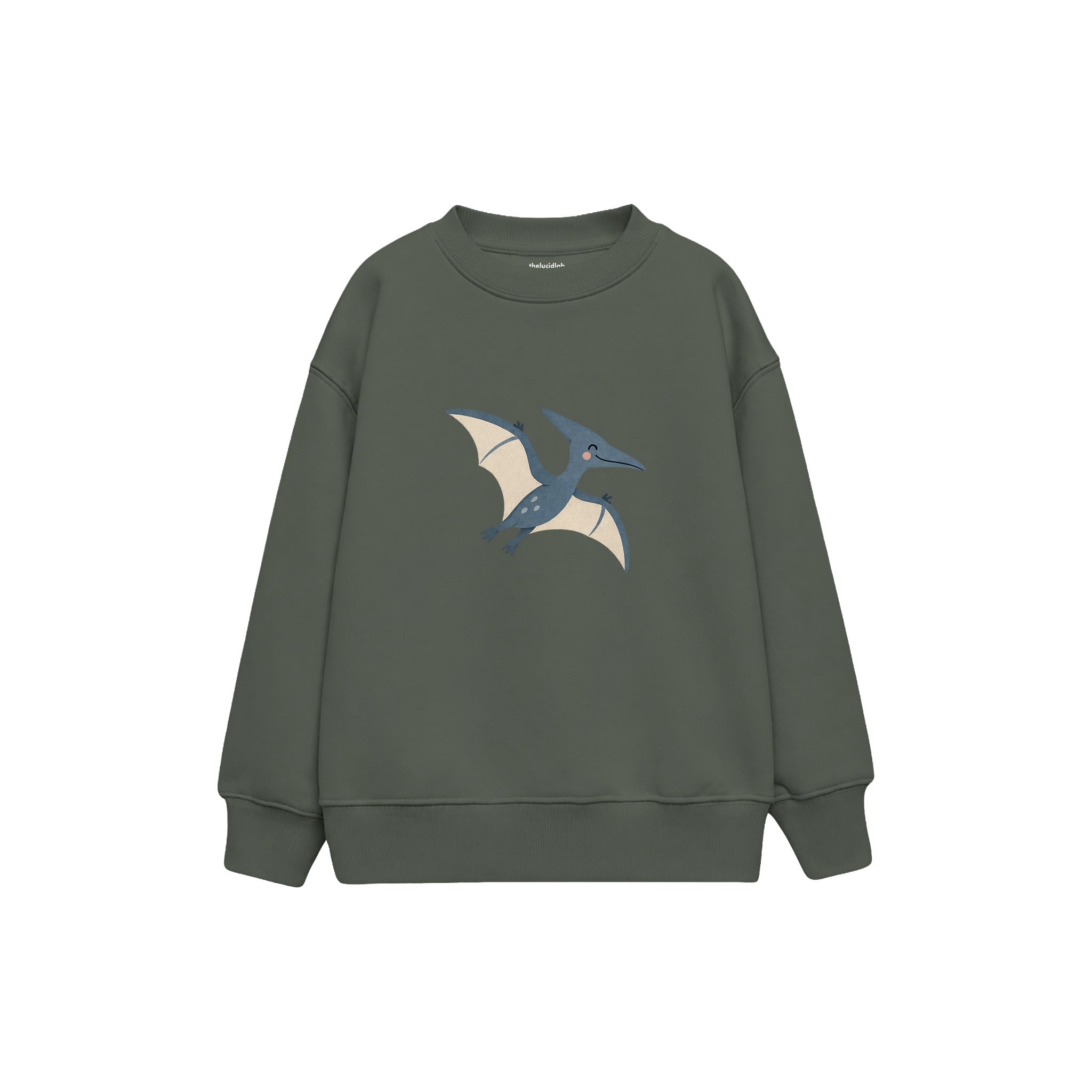 Blue pterodactyl gliding gently Çocuk Sweatshirt — Antrasit — ön görünüm