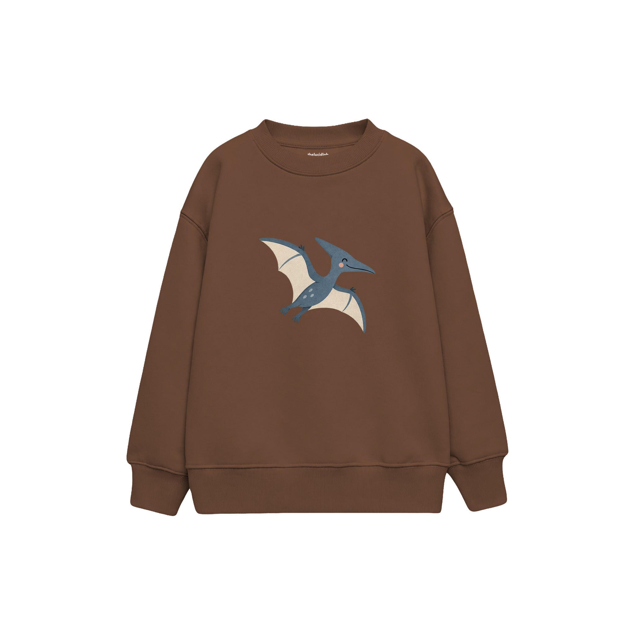 Blue pterodactyl gliding gently Çocuk Sweatshirt — Kahverengi — ön görünüm