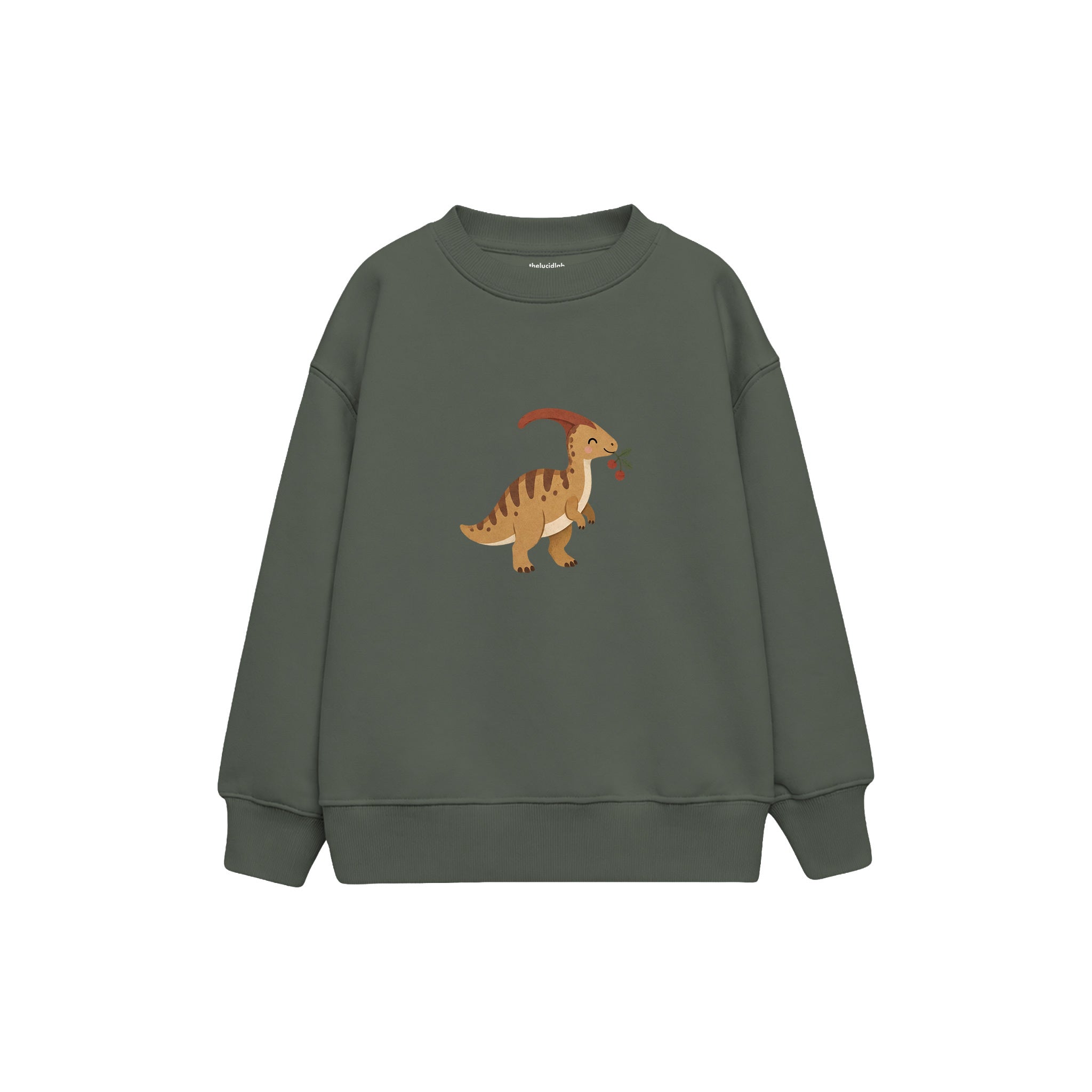 Small parasaurolophus with a berry Çocuk Sweatshirt — Antrasit — ön görünüm