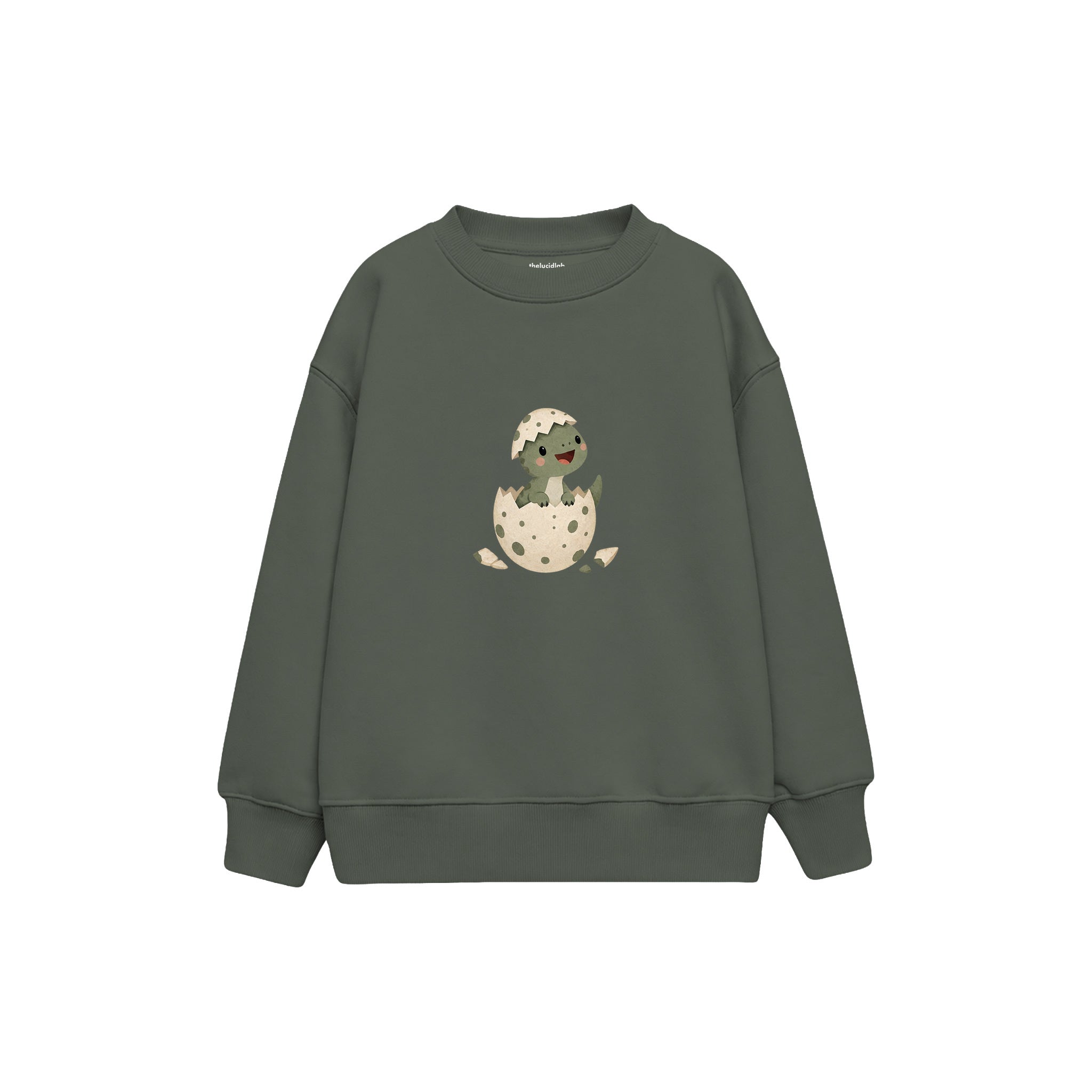 Baby dinosaur emerging from a speckled eggshell Çocuk Sweatshirt — Antrasit — ön görünüm