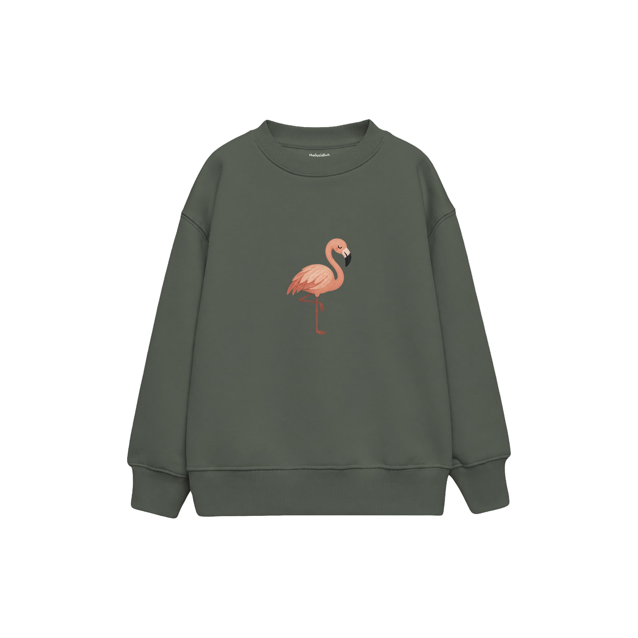 Flamingo balancing on one leg Çocuk Sweatshirt — Antrasit — ön görünüm