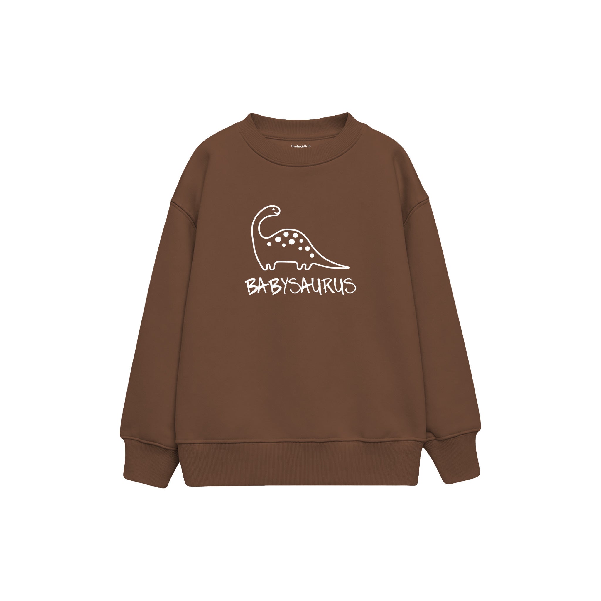 BABYSAURUS Çocuk Sweatshirt — Kahverengi — ön görünüm