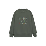 Little and Loved Çocuk Sweatshirt — Antrasit — ön görünüm