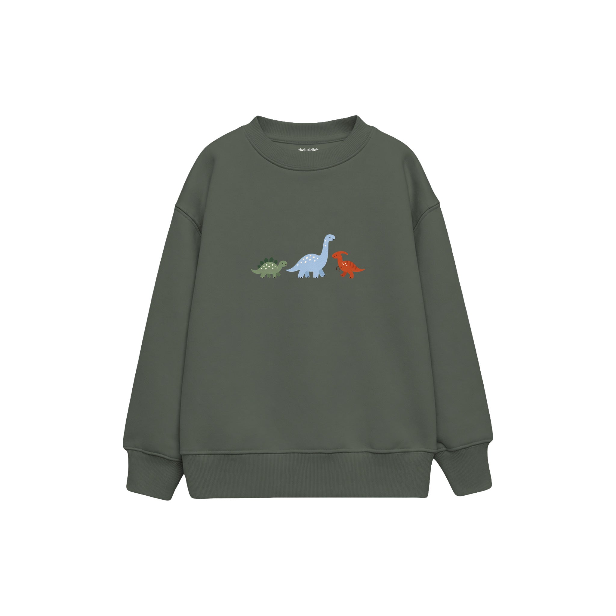 Dino Friends Çocuk Sweatshirt — Antrasit — ön görünüm