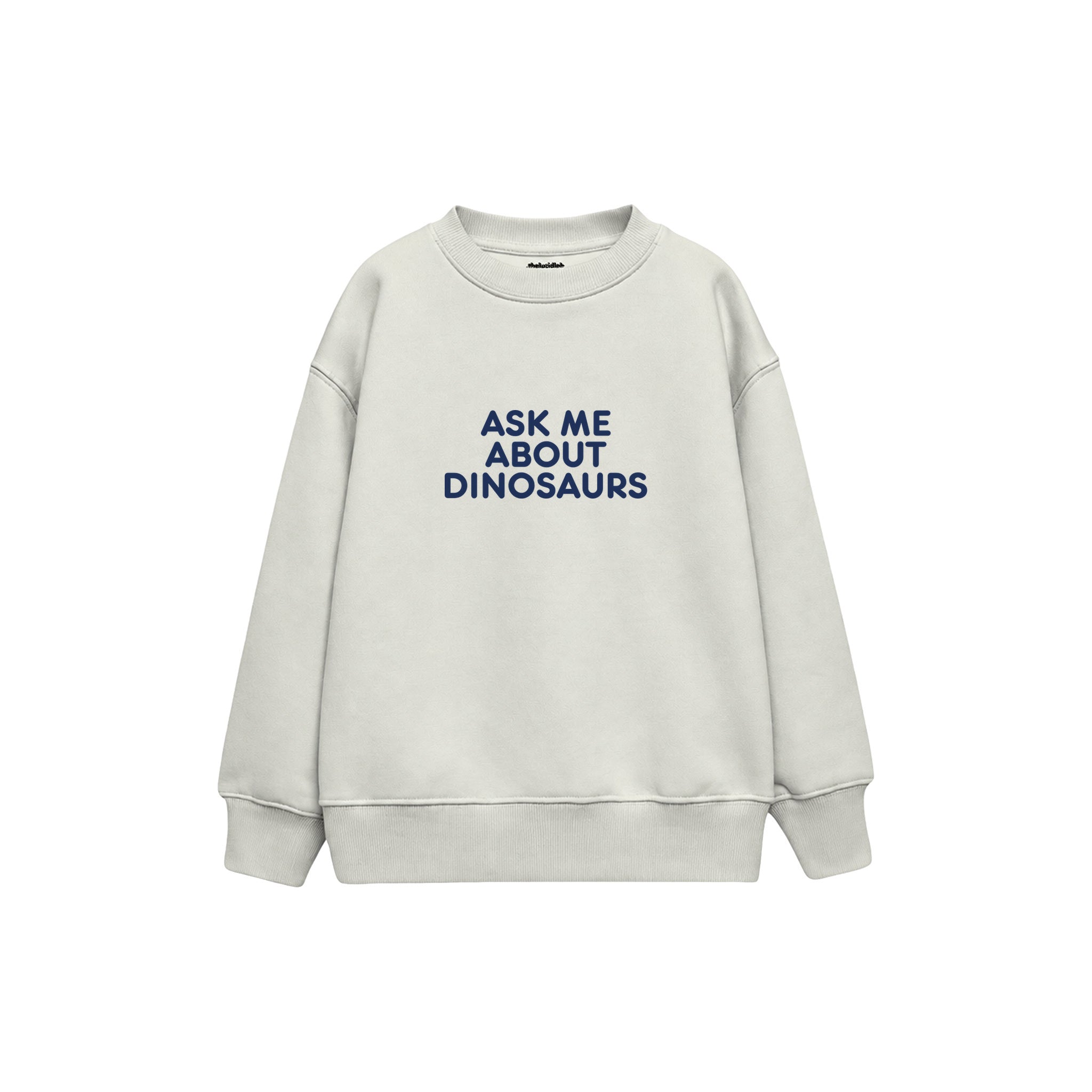 Dinosaur Expert Çocuk Sweatshirt — Beyaz — ön görünüm