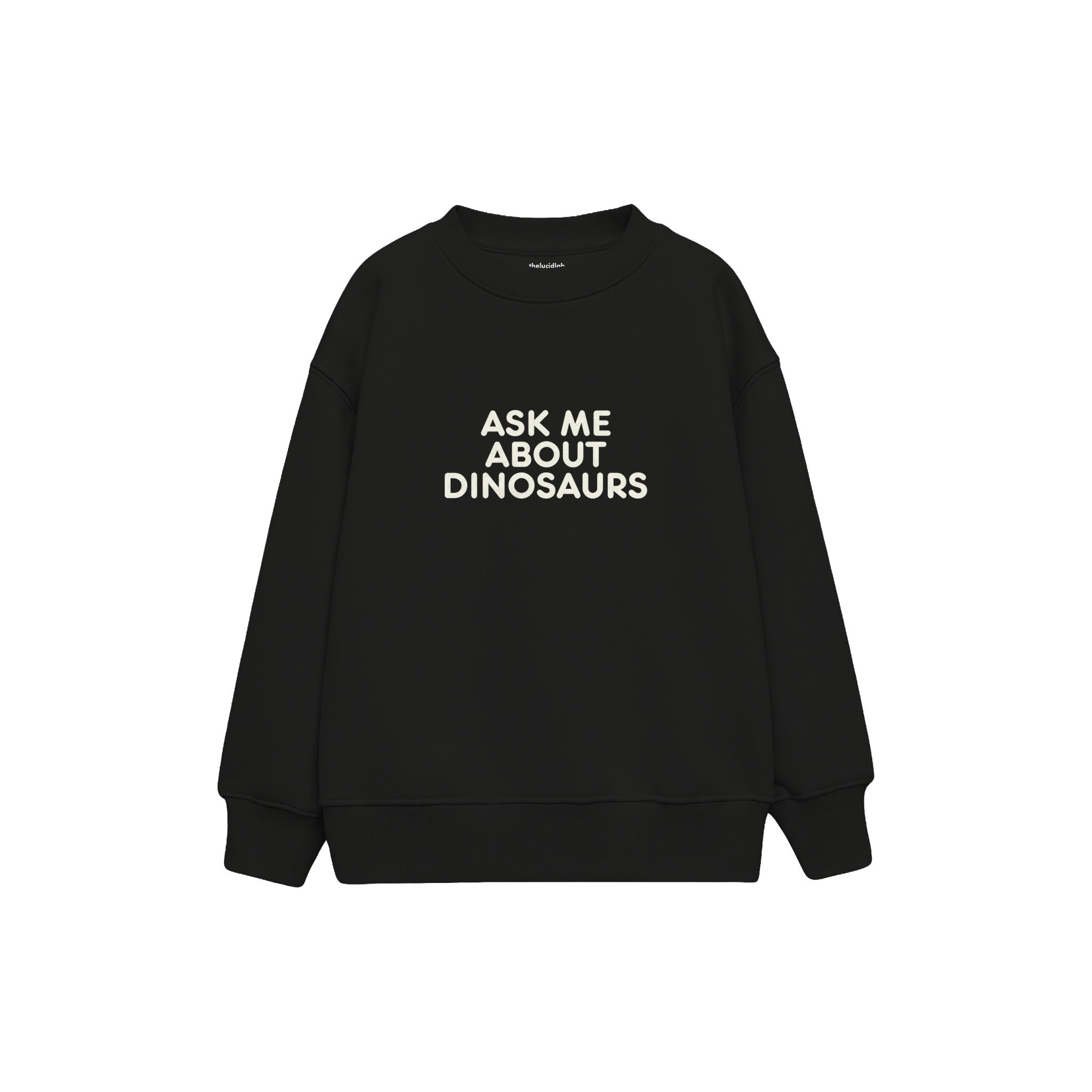 Dinosaur Expert Çocuk Sweatshirt — Siyah — ön görünüm