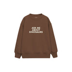 Dinosaur Expert Çocuk Sweatshirt — Kahverengi — ön görünüm