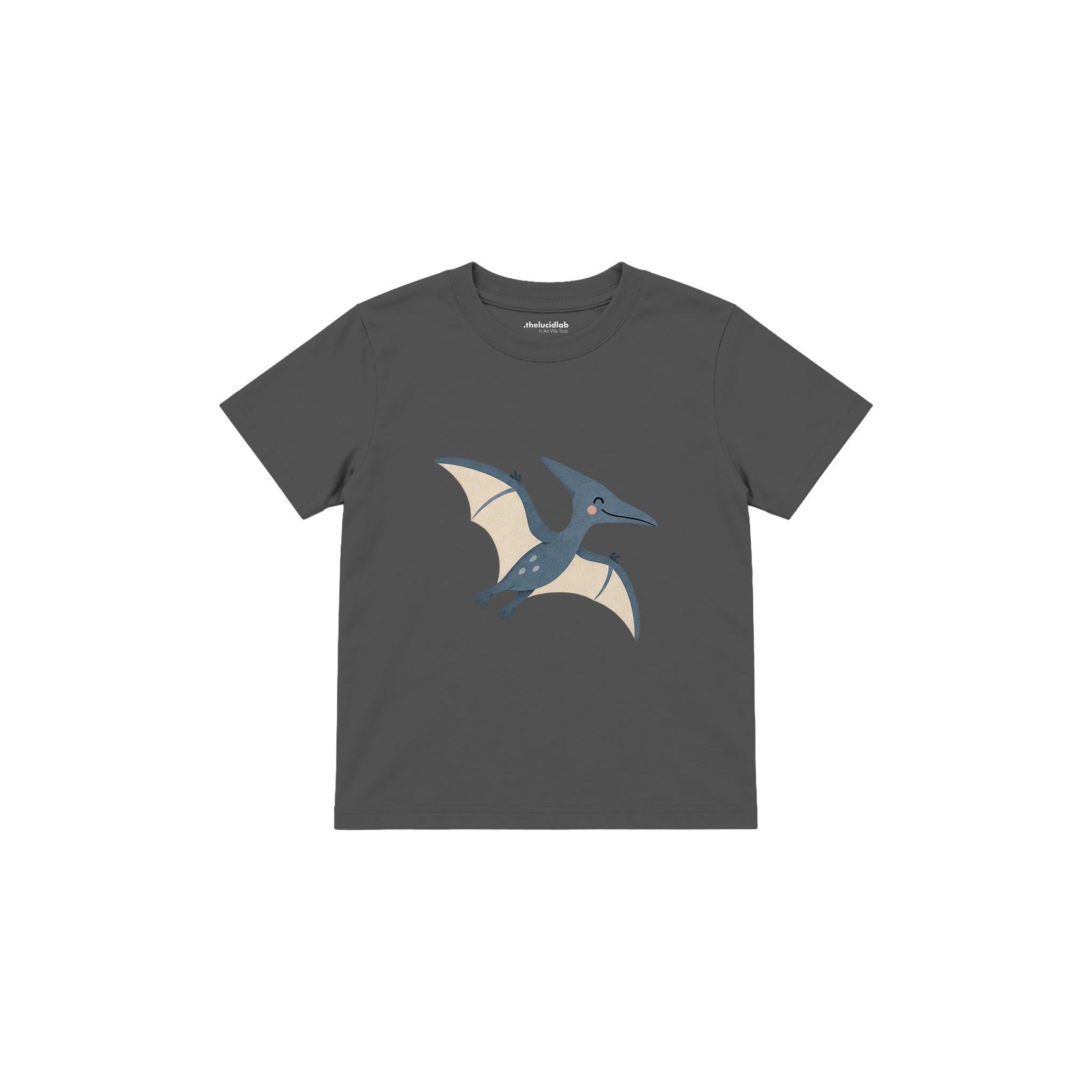 Blue pterodactyl gliding gently Çocuk Tişört — Antrasit — ön görünüm