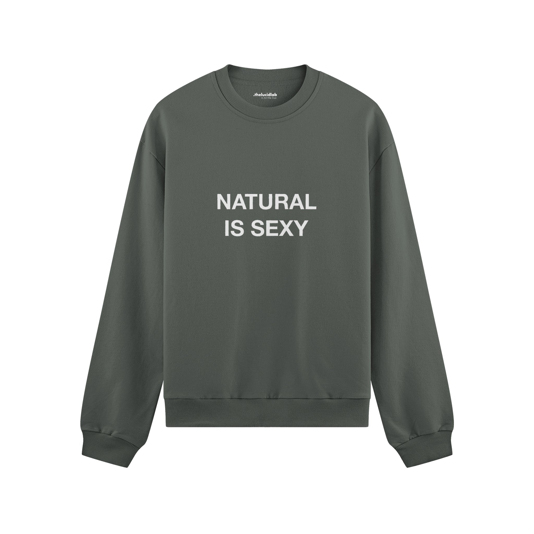 Natural Is Sexy Oversize Sweatshirt – Antrasit – ön görünüm