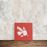 Soft Red Beta Fish Canvas Print