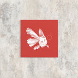 Soft Red Beta Fish Canvas Print