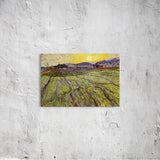 Field with Rising Sun and Wheat Field Canvas Print