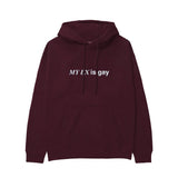 My Ex Is Gay Hoodie — Bordo — Görsel 1