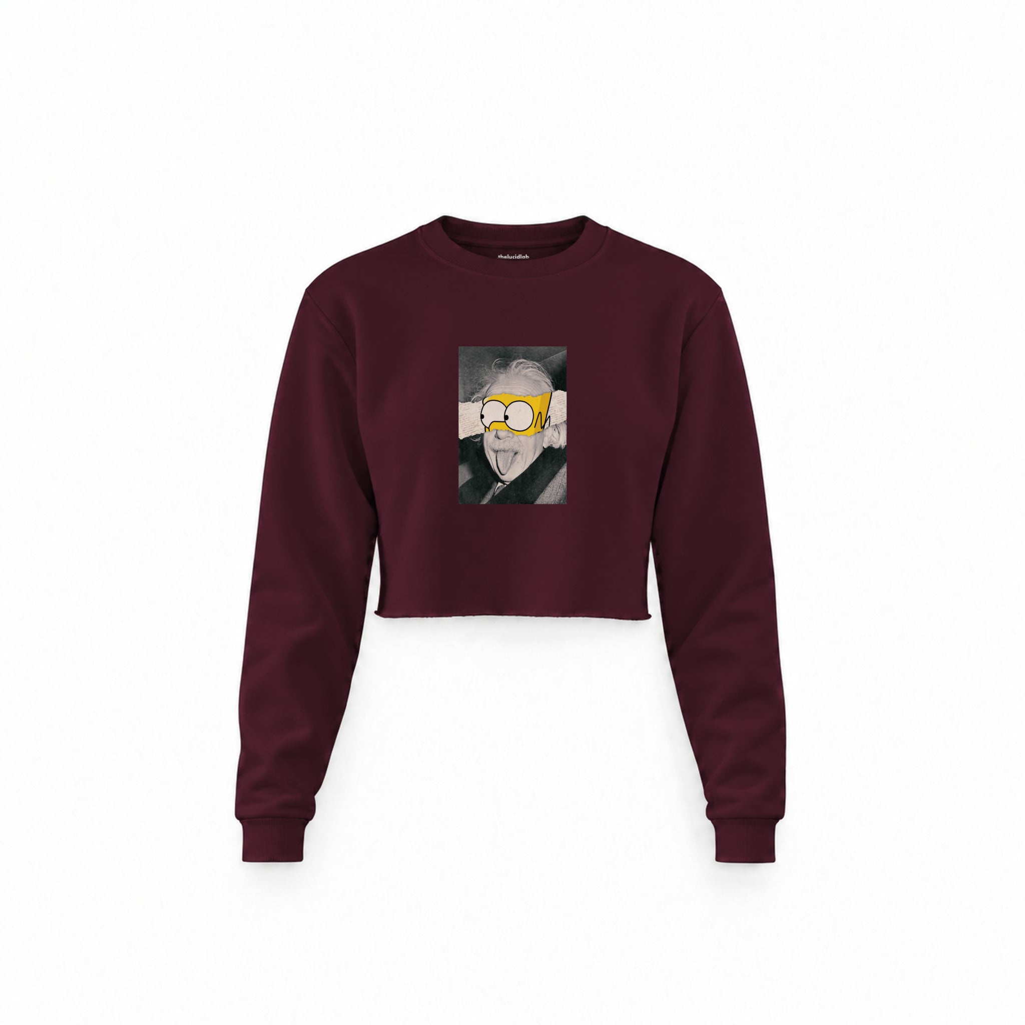Albert Einstein / Homer Simpson Crop Sweatshirt — Bordo — Ön