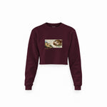 The Creation Crop Sweatshirt — Bordo — Ön